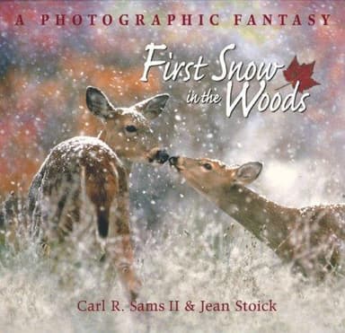 In the Woods cover